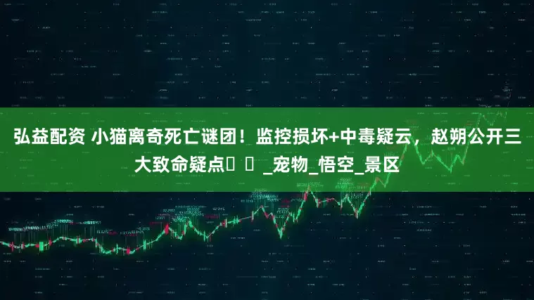 弘益配资 小猫离奇死亡谜团！监控损坏+中毒疑云，赵朔公开三大致命疑点​​_宠物_悟空_景区