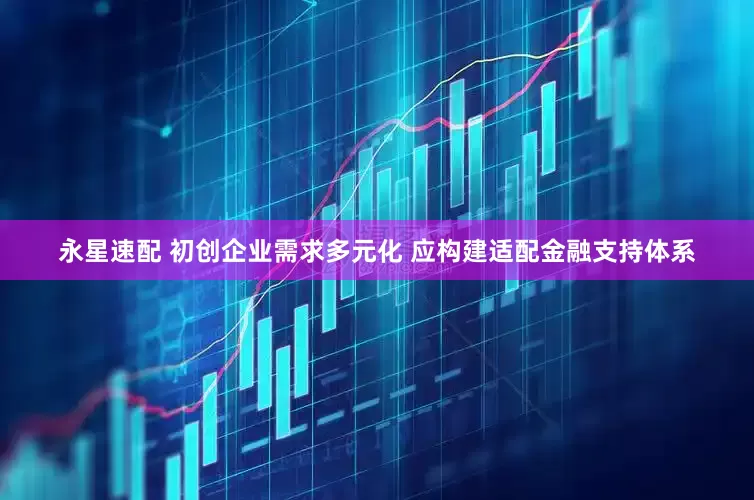 永星速配 初创企业需求多元化 应构建适配金融支持体系
