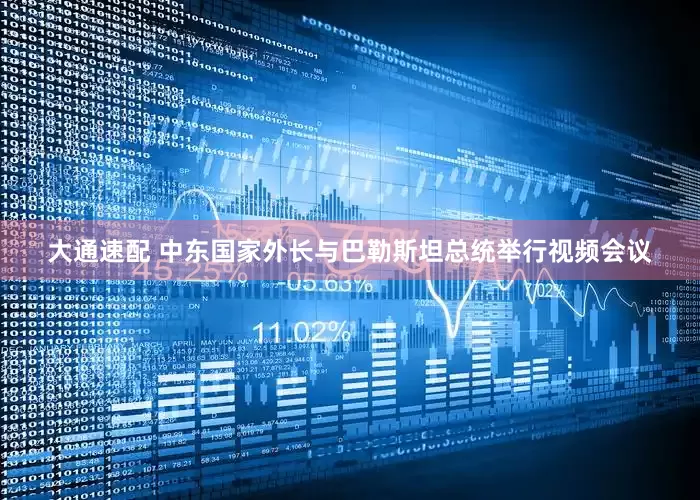 大通速配 中东国家外长与巴勒斯坦总统举行视频会议