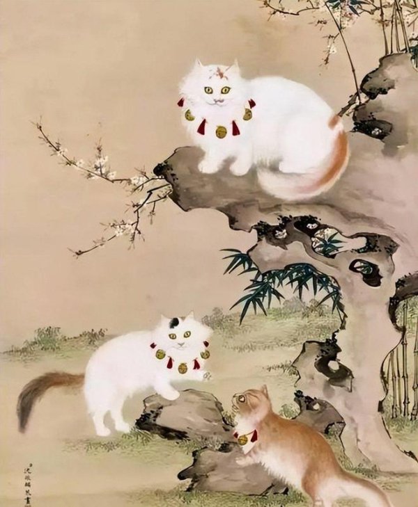 富鑫中证 古代也痴迷养宠物？不仅锦衣玉食，生病还有专属医生看病